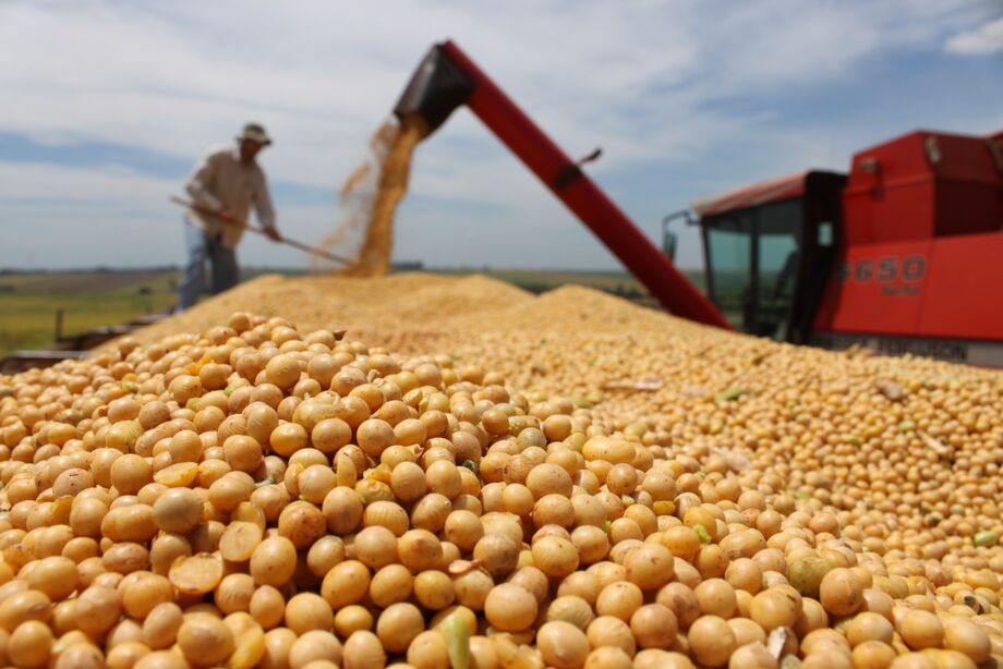 O bom desempenho é impulsionado pela melhora da produção do milho na segunda safra do grão, informa a Conab, em nota