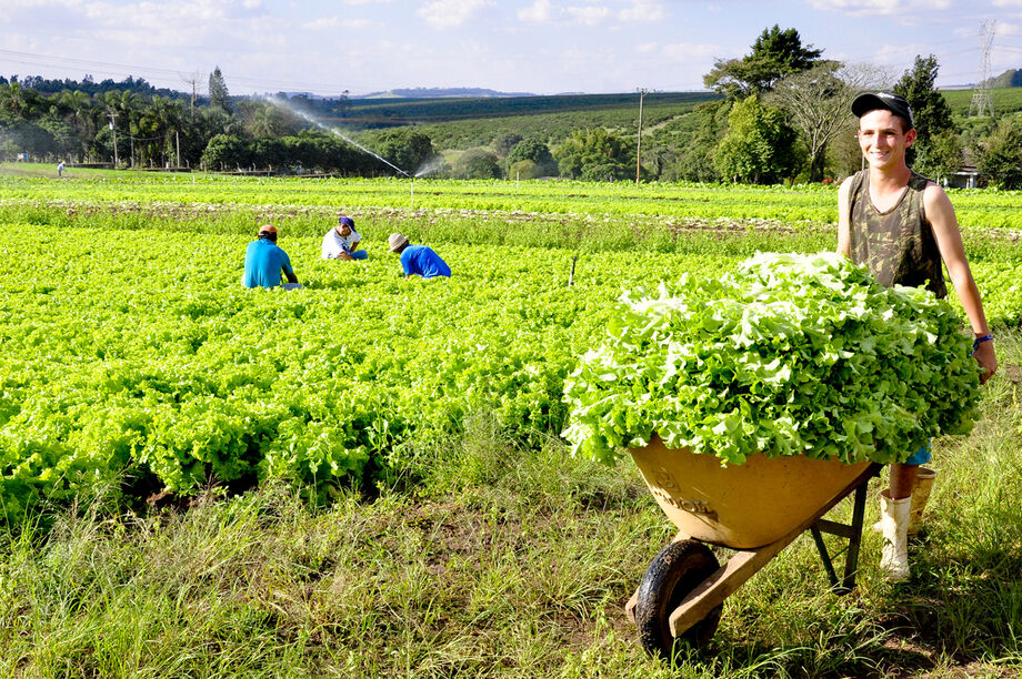 O FCO Rural é destinado a investimentos no agronegócio como a construção de armazéns, aquisição de máquinas e equipamentos agrícolas, até o financiamento de lavouras