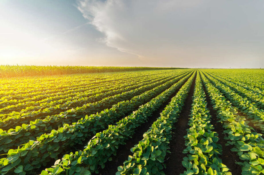 A melhoria no fluxo de aprovação das importações nas fronteiras dos dois países, onde hoje há divergências na documentação para entrada de produtos, foi um dos primeiros temas discutidos, seguido do programa nacional de erradicação da febre aftosa
