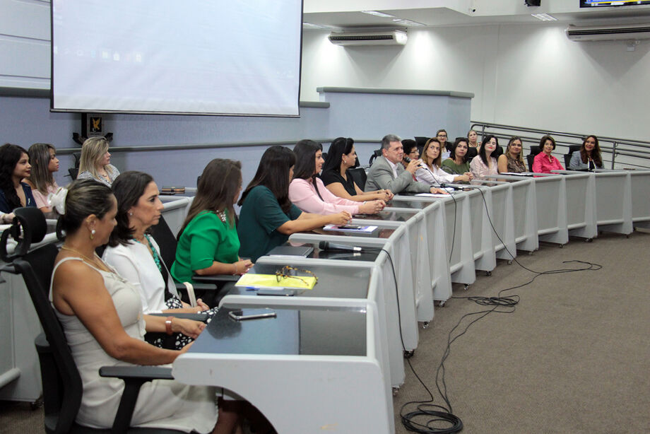Mulheres de Mato Grosso do Sul representantes no Congresso Nacional e em cargos de destaque do Executivo ocuparam a Tribuna para defender políticas de enfrentamento, de paridade para as disputas eleitorais e reserva de assentos no Parlamento