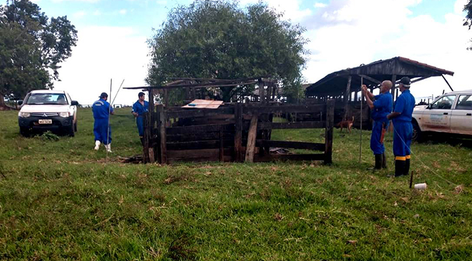 Com a confirmação dos casos, a Iagro deu início ao trabalho para alertar os produtores rurais de toda região para a necessidade de vacinação em todos os herbívoros, para evitar assim a proliferação da doença