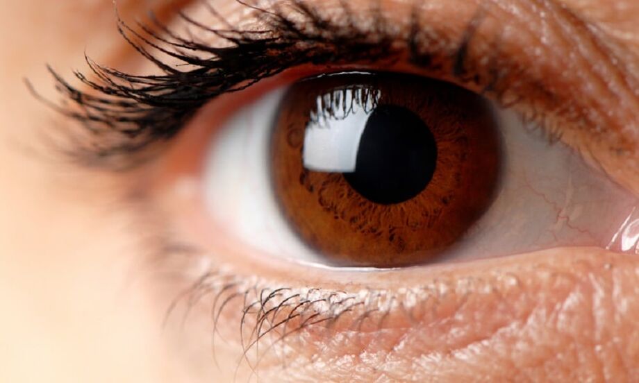 Entre as principais causas da cegueira em adultos estão a Catarata, o Glaucoma, o Edema Macular Diabético (EMD) e Degeneração Macular Relacionada à Idade (DMRI)