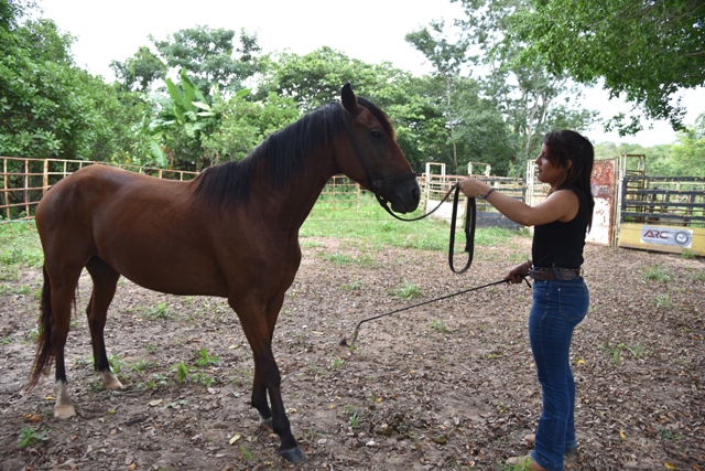 Larissa realizou o primeiro curso em 2015