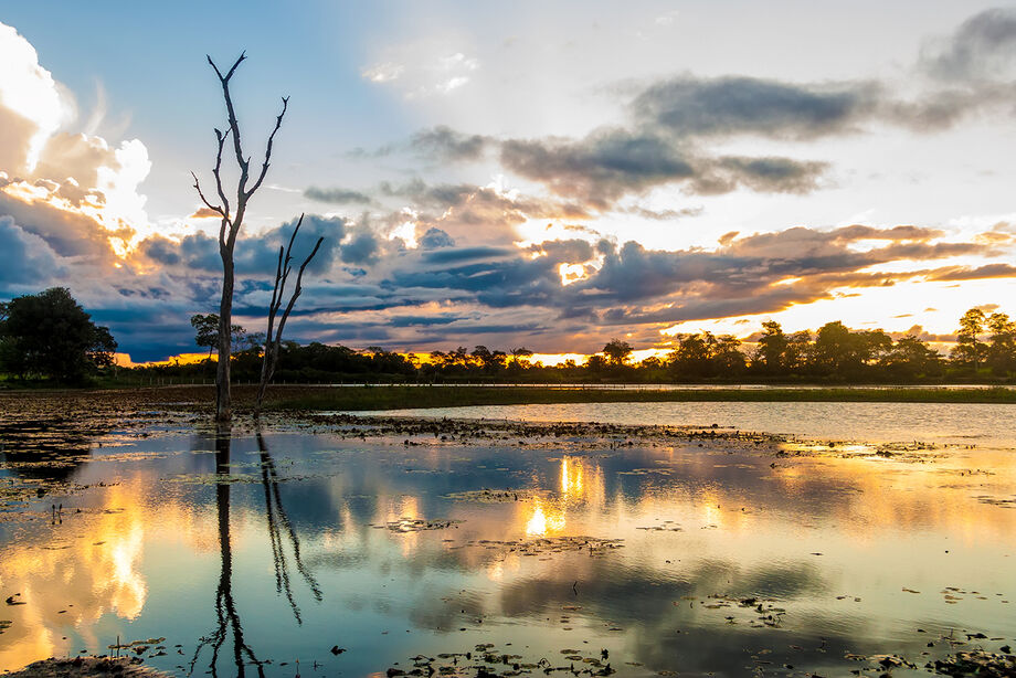 No Pantanal, clima estável promete fazer a alegria de quem gosta de pescar à beira rio ou passear de barco