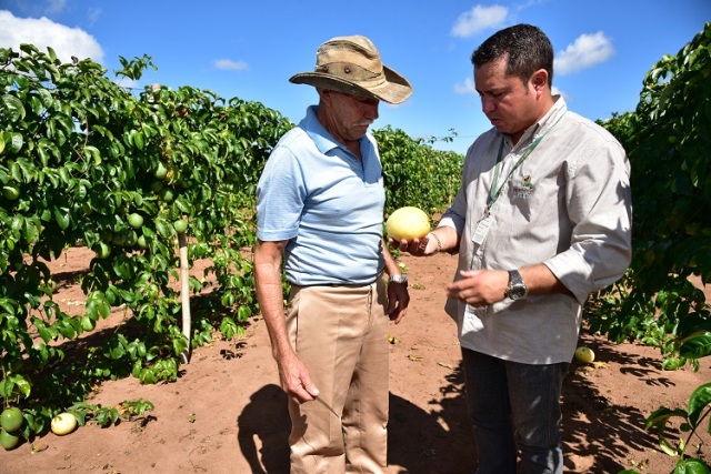 Senar/MS também oferece mais de 15 temas voltados à fruticultura