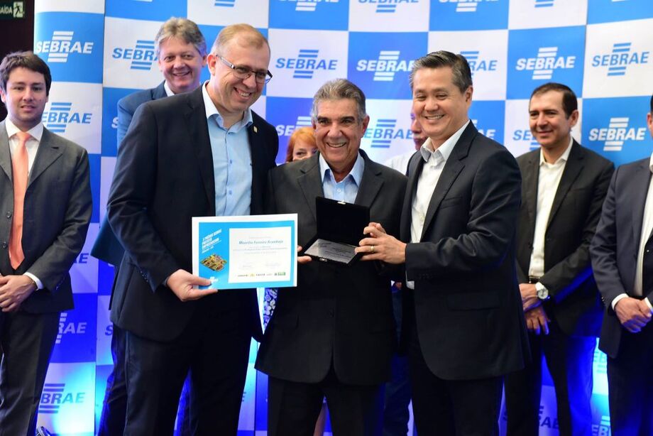 Vinte dois municípios se escreveram no programa 14 projetos foram selecionados, 7 classificados, os projetos foram divididos em 4 categorias os vencedores de cada categoria vai participar da etapa nacional no dia 05 de junho em Brasília