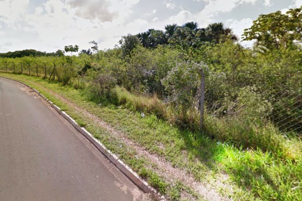 Parte da proteção da reserva está danificada e os animais cruzam a pista
