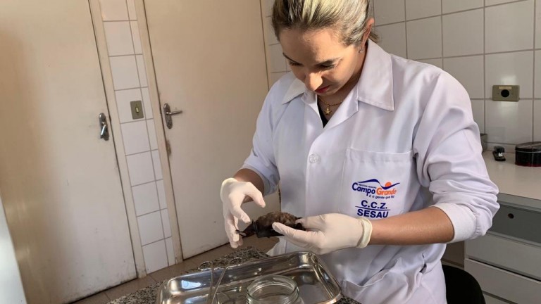 A vacina antirrábica para cães e gatos está disponível o ano todo no CCZ, todos os dias da semana, inclusive sábados, domingos e feriados, das 7h às 21.