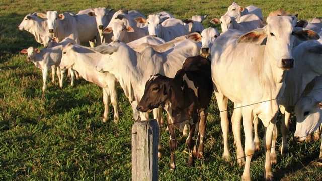 Em abril houve uma desvalorização de 1,2%