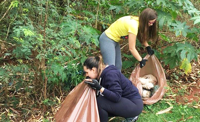 Este ano o evento quer reunir 800 voluntários