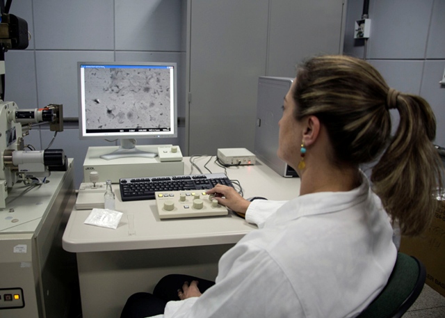 Material verde, os nanocristais de celulose têm a resistência do aço