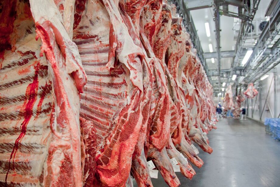 Em pouco mais de dois anos, o programa Precoce MS completou no último mês mais de 1,69 milhão de animais abatidos, com R$ 80 milhões de incentivos pagos,  mais de 2 mil estabelecimentos rurais cadastrados e 17 frigoríficos credenciados