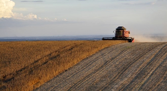 Produção do Brasil deve crescer 5,1%