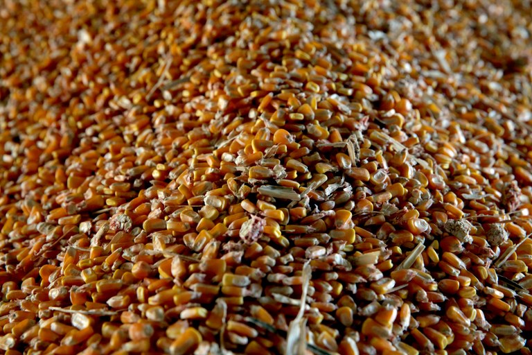 O estudo da Produtividade da Agricultura Brasileira, do Ministério da Agricultura, Pecuária e Abastecimento, mostra que o produto da agropecuária teve incremento de 3,81% e o de insumos