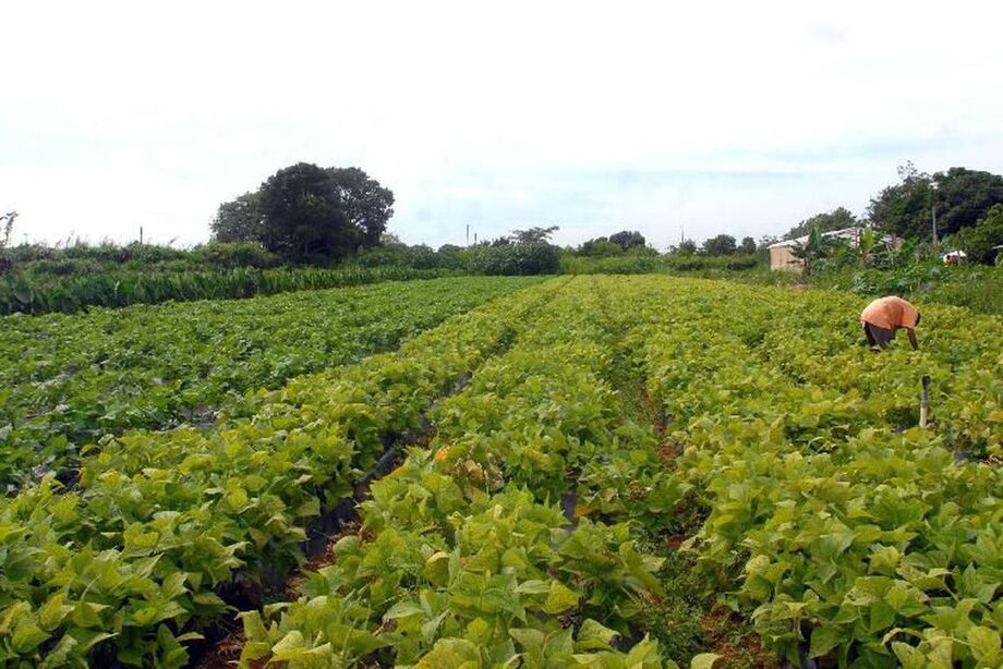 Com essas chuvas, as precipitações acumuladas no período deverão ficar acima do normal ao sul do país e abaixo da média na maior parte do Centro-Oeste