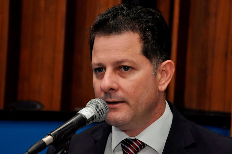 Projeto altera ementa e dispositivos da Lei que designa o Ipê Amarelo como árvore símbolo do Estado