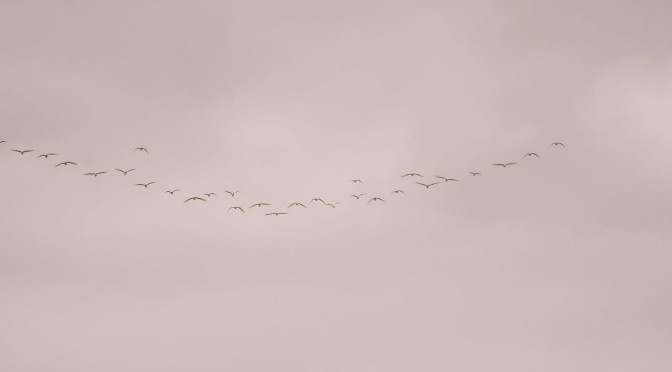 Nublado a parcialmente nublado com pancadas de chuva e trovoadas isoladas para as demais localidades do Estado.