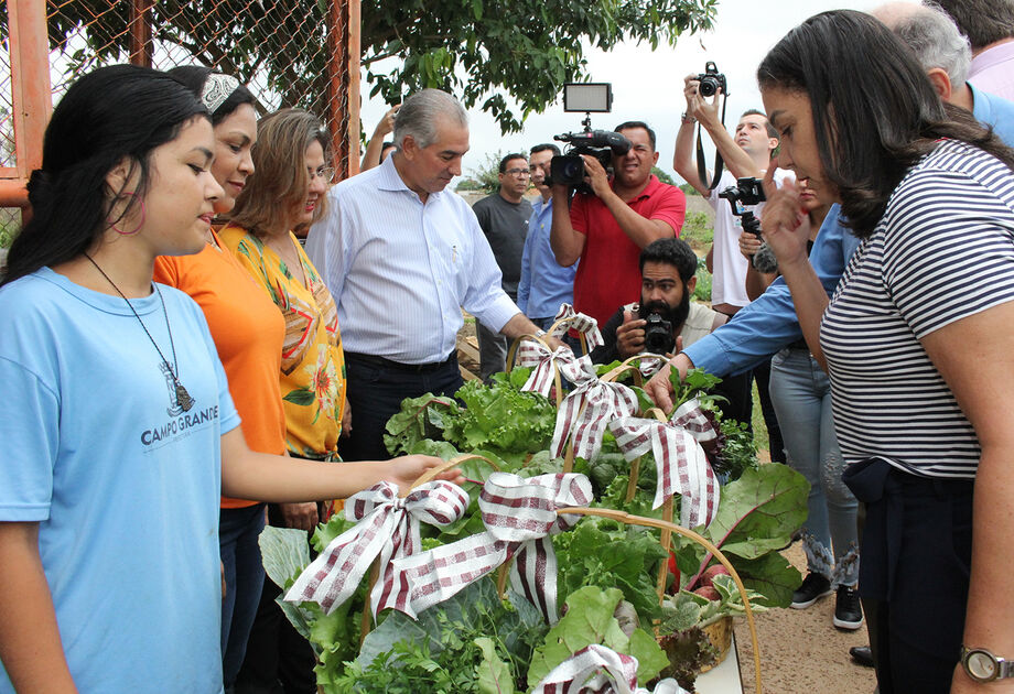 Além da ampliação da quantidade, a parceria será responsável por revitalizar e reorganizar as hortas comunitárias já implantadas na Capital