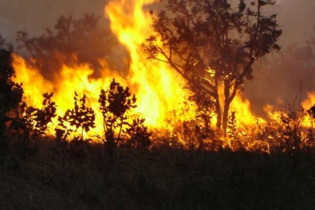 Mato Grosso do Sul teve 8.354 focos de incêndio até 14 de outubro