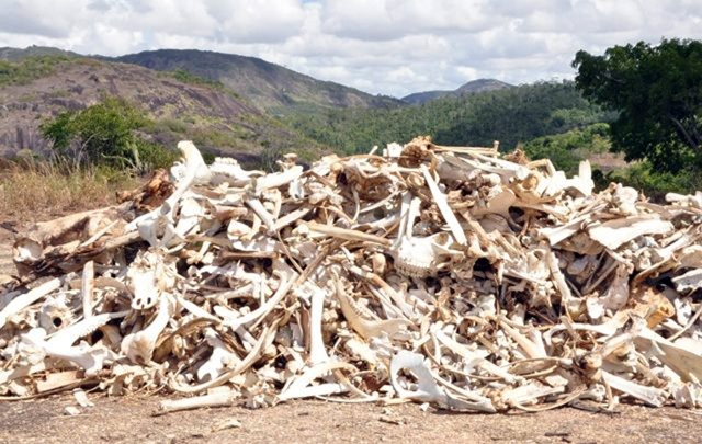 Serviço Veterinário Oficial de cada estado deverá estabelecer os controles necessários
