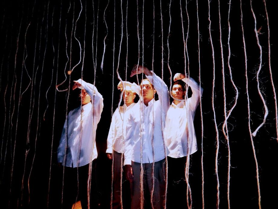 O Diamond Dance Crew é um grupo que tem sua base na técnica das Danças Urbanas, eles também pesquisam diversas técnicas como House, Popping, Break, mas sempre com composições coreográficas contemporâneas