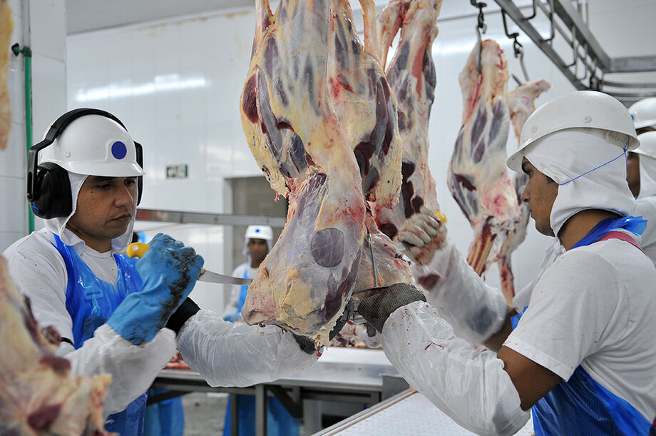 Houve um aumento de 12% em relação ao mesmo período do ano passado, sendo que 42,3% do total alcançado é oriundo das carnes desossadas de bovinos congeladas
