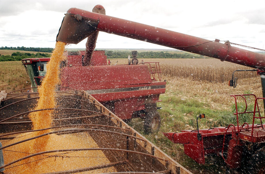 De acordo com o levantamento, as lavouras devem ter VBP de R$ 20,3 milhões, puxadas principalmente soja que teve trazer lucros de R$ 9,7 bilhões aos produtores