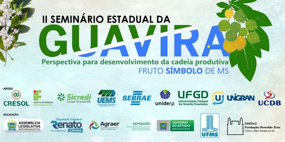 Segundo dados da Agraer, a guavira é uma planta originária do Brasil, encontrada em abundância no Cerrado