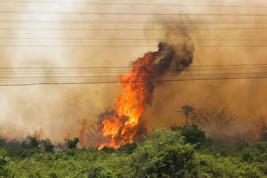 Fogo na região do Morro do Azeite exigiu intenso combate pelos bombeiros e brigadistas, além do apoio aéreo