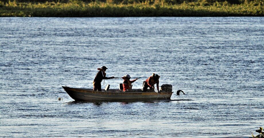 O 9º Campeonato de Pesca Esportiva de Porto Murtinho reunirá mais de 100 equipes, segundo os organizadores.