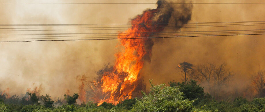 A situação atual no Pantanal, com o fogo se expandindo com a força do vento e a presença de uma massa de vegetação propensa ao fogo