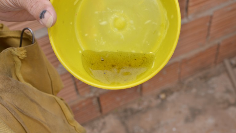 Neste ano, o município de Campo Grande registrou uma das maiores epidemias de dengue da história