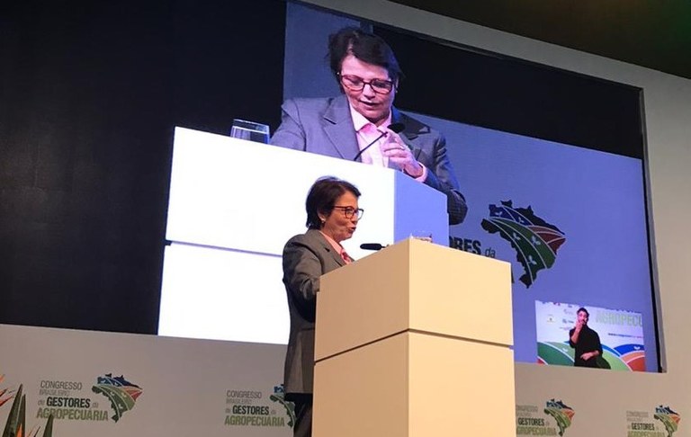 A ministra participou da abertura do Congresso Brasileiro de Gestores da Agropecuária, que ocorrerá de 5 a 7 de novembro