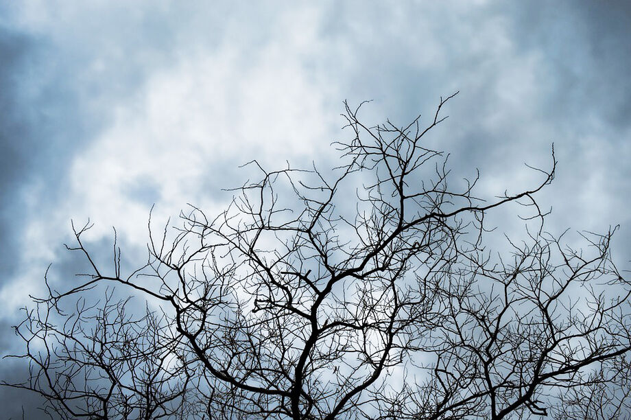 Para esta semana, a previsão é céu parcialmente nublado a nublado com pancadas de chuva e trovoadas isoladas a partir da tarde para todas as regiões Mato Grosso do Sul, conforme o Centro de Monitoramento do Tempo e do Clima (Cemtec)