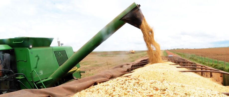 Com 49,5% da safra 2019/20 plantado, o plantio de soja em MS continua com atraso