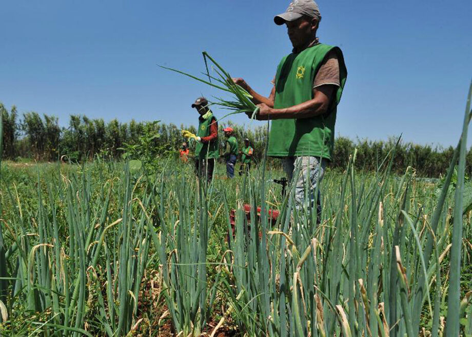 No comparativo com o último censo realizado em 2006, houve aumento de 2.969 estabelecimentos que atenderam aos critérios da Lei 11326/2017 e foram classificados como agricultura familiar no Estado