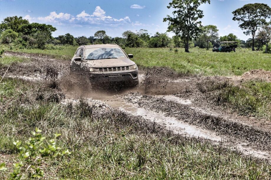 As características de um Jeep combinam com a natureza pantaneira