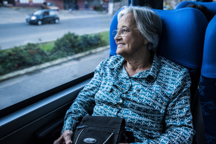 As concessionárias do serviço de transporte rodoviário de passageiros poderão ser obrigadas a afixarem nos locais de vendas de passagens, adesivo contendo texto conscientizando a população sobre o direito do idoso ao passe livre