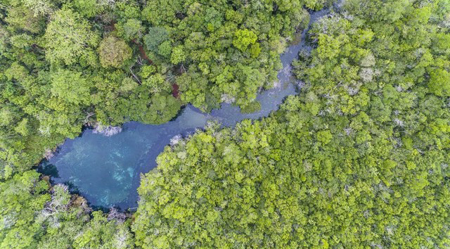 Rio da Prata: ações para recuperação e conservação.