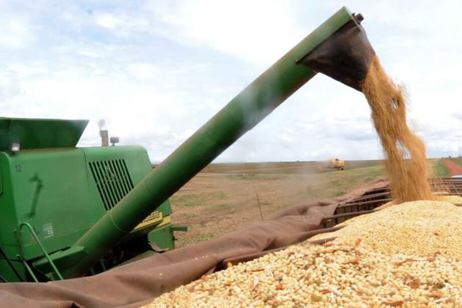 Os produtores brasileiros devem colher 63,8 milhões de hectares na safra agrícola de 2020, uma elevação de 1,1% em relação à área a ser colhida em 2019
