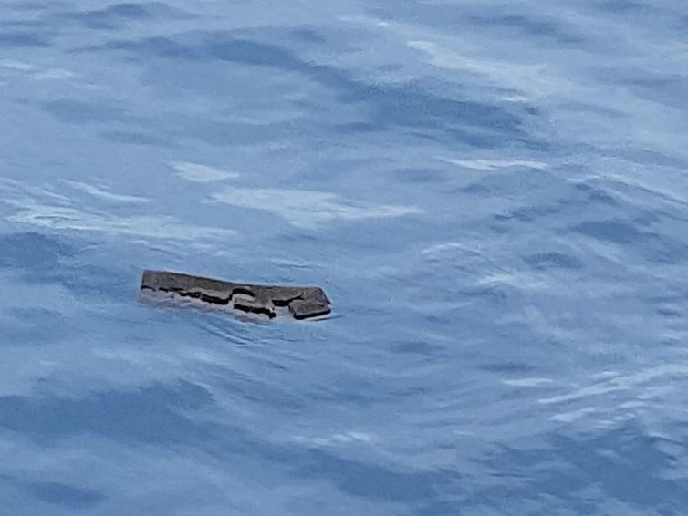 Destroços que a Força Aérea Chilena acredita ser de avião militar que caiu esta semana foram encontrados na Passagem de Drake