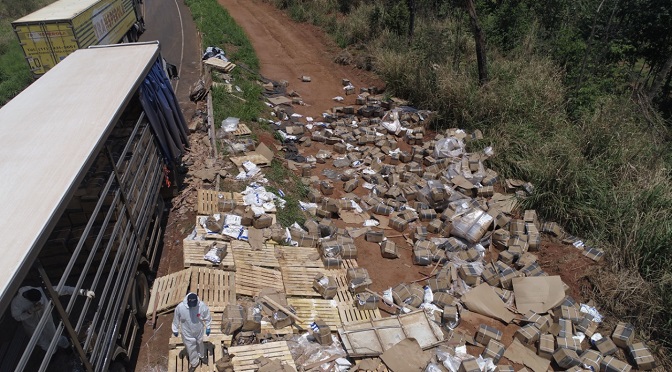 As infrações predominantes foram contra a flora, com 307 autuações, seguidas por infrações relativas à pesca, com 188 autuações.
