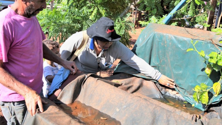 A partir da próxima semana a Prefeitura de Campo Grande inicia uma megaoperação que estabelece uma série de ações de enfrentamento, conscientização e sensibilização sobre os riscos do mosquito Aedes aegypti