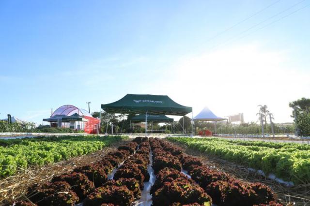 Estande do Senar/MS apresenta temas como irrigação e plantio direto durante a Showtec, em Maracaju