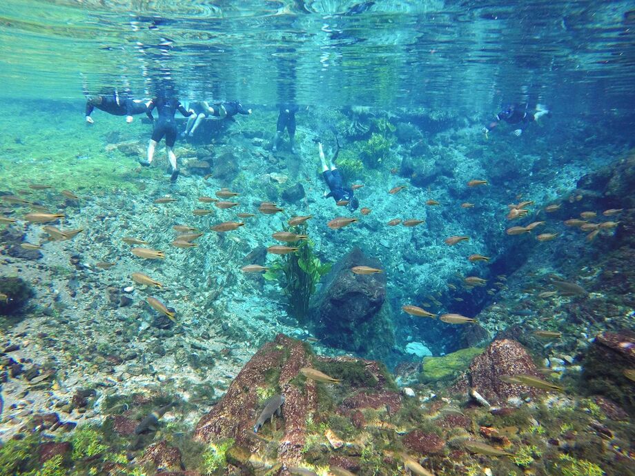Suas principais atrações são as paisagens naturais, as flutuações e mergulhos em rios de águas cristalinas, cachoeiras, grutas, cavernas e dolinas