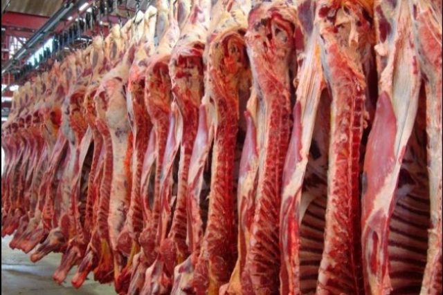 O volume exportado no primeiro mês do ano foi de 135.375 toneladas