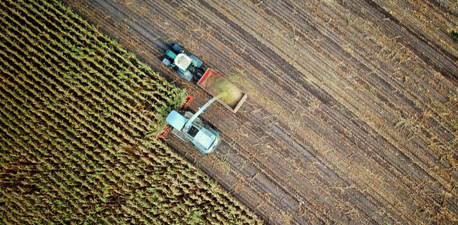 A intenção é desenvolver estudos sistematizados e aprofundados sobre a tributação incidente no agronegócio