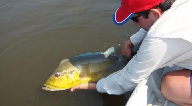 A Piracema é o período de defeso, quando os peixes sobem a correnteza em direção às cabeceiras para se reproduzir.
