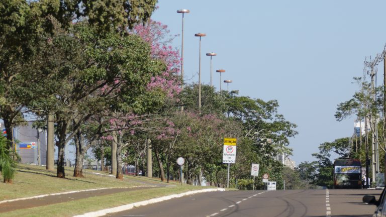 A Capital integra uma seleta rede global de cidades com prestígio internacional por sua liderança em florestas urbanas e comunitárias, e isso já tem dado resultados