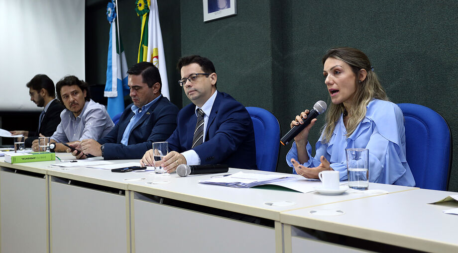 Procuradora do Estado, Ana Carolina, disse que o governo estadual está aberto ao diálogo